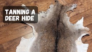 Tanning/Pickling A Fallow Deer Hide With Alum