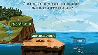 Животните в природата - Човекът и природата 3 клас | academico