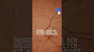 Bunu İzlemeden Fidan Dikmeyin Part 2