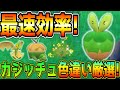 カジッチュ色違い厳選方法！【ポケモンSV】