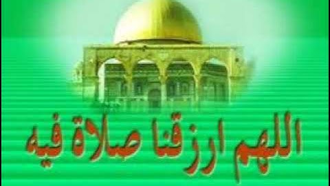 تلاوه خاشعه للشيخ الحجوري من دار الحديث بدماج سابقاً