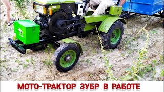 видео: ЧУТЬ НЕ ПЕРЕВЕРНУЛСЯ / МИНИ ТРАКТОР ЗУБР 12 И МОТОБЛОК КЕНТАВР ПОЗДКА ЗА ПЕСКОМ / СРАВНЕНИЕ В РАБОТЕ картинка: ЧУТЬ НЕ ПЕРЕВЕРНУЛСЯ / МИНИ ТРАКТОР ЗУБР 12 И МОТОБЛОК КЕНТАВР ПОЗДКА ЗА ПЕСКОМ / СРАВНЕНИЕ В РАБОТЕ