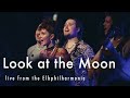 Guacyo  look at the moon live at elbphilharmonie