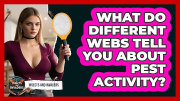 What Do Different Webs Tell You About Pest Activity? - Insects and Invaders
