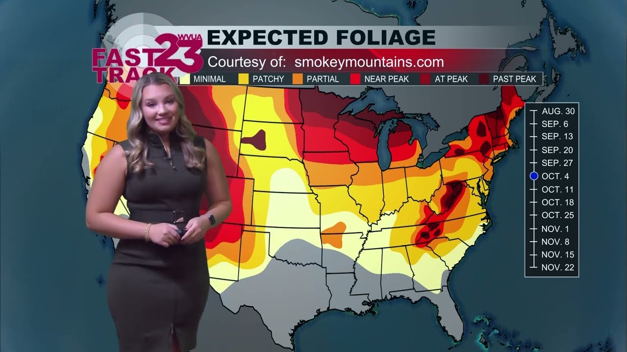 Megan Hanna October 1st WVUA23 Forecast