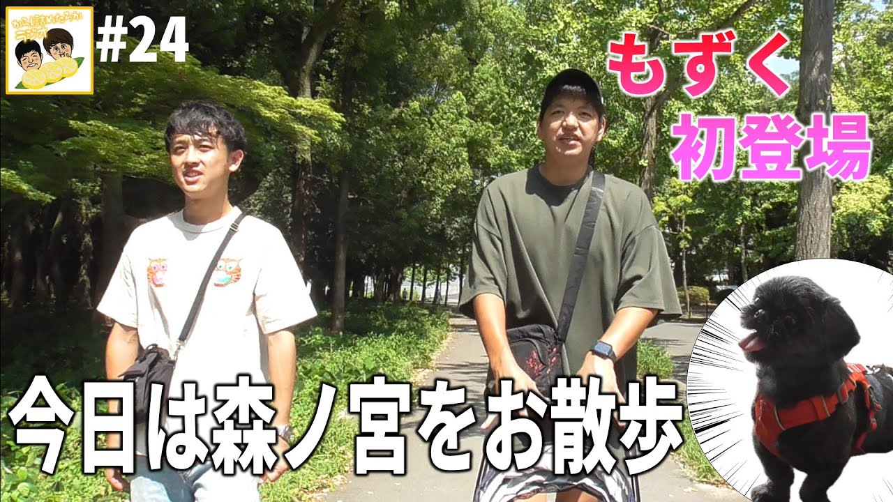 【からし詰めたろかラジオ#24】お散歩の巻。