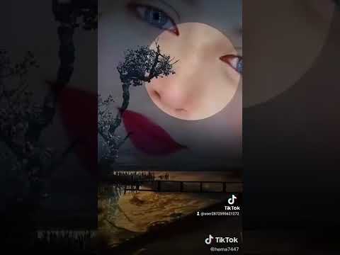 خليكو شاهدين فايزه احمد 