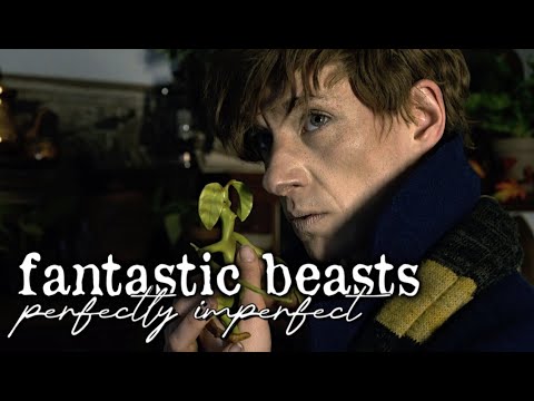 {newt scamander: perfectly imperfect}