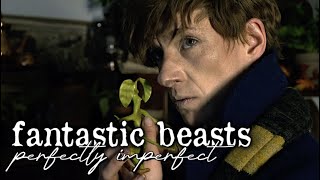 {newt scamander: perfectly imperfect}