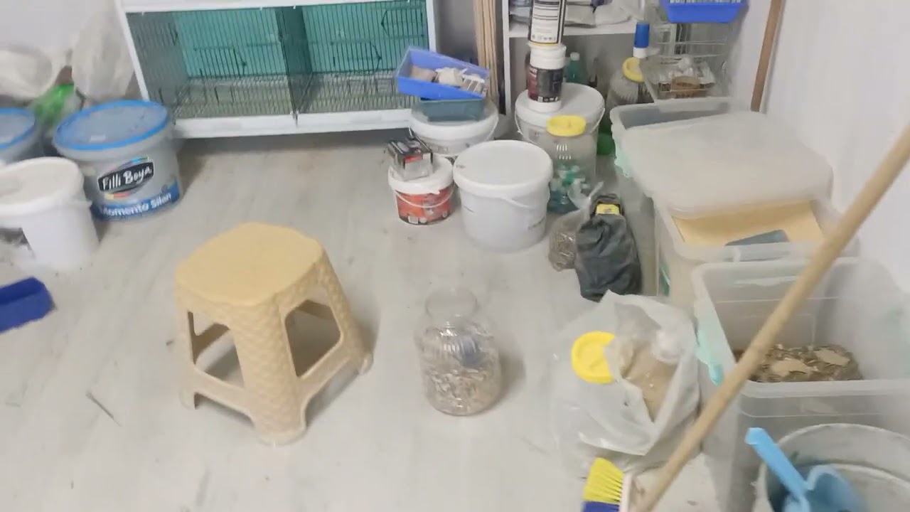 SEBA KAFES 75*45*45 KAFES NASİL BİLİRSİNİZ TECRUBELERİMİ PAYLASTİM