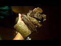 Hunting Petrified Wood Fossils Into the Night Underwater in a Georgia River