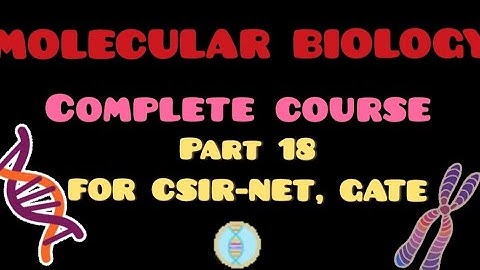 TRANSLATION IN PROKARYOTES  | CSIR NET | GATE | IIT JAM | DBT | NEET | ICMR | MSC | B.SC