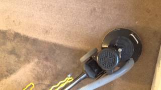 Carpet Cleaning for a VERY dirty carpet in Norfolk VA