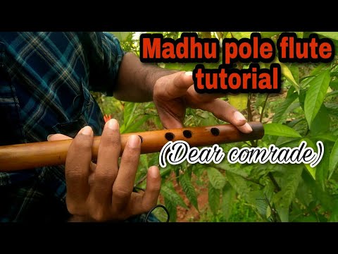 Madhu pole flute tutorial  Dear comrade 