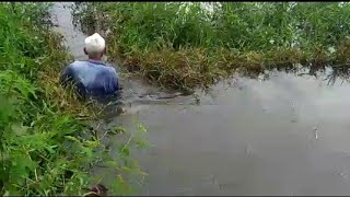 COBRA NA LAGOA OLHA O QUE ACONTECEU +FINALIZANDO A LIMPEZA DO CAPIM DA LAGOA