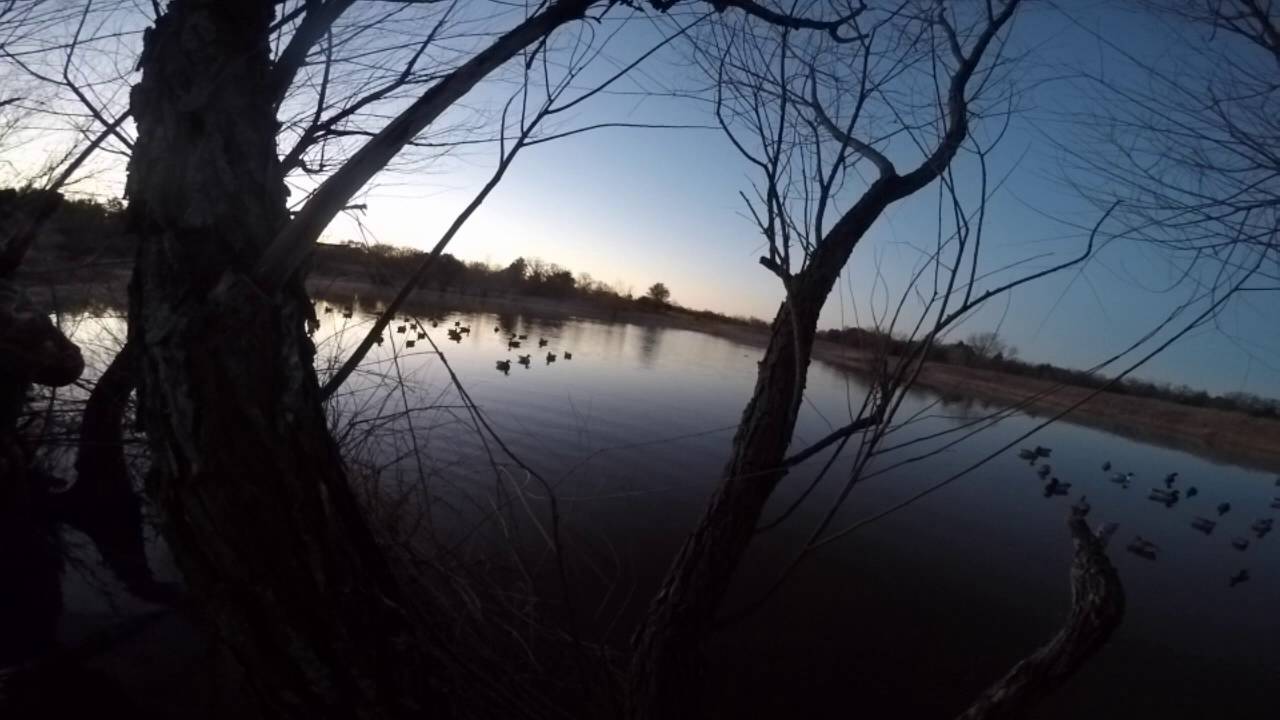 Duck Hunting Public Land 
