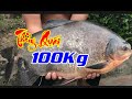 Săn Thủy Quái | Chinh Phục Thủy Quái Nước Ngọt 1000kg | Hưng Liên TV