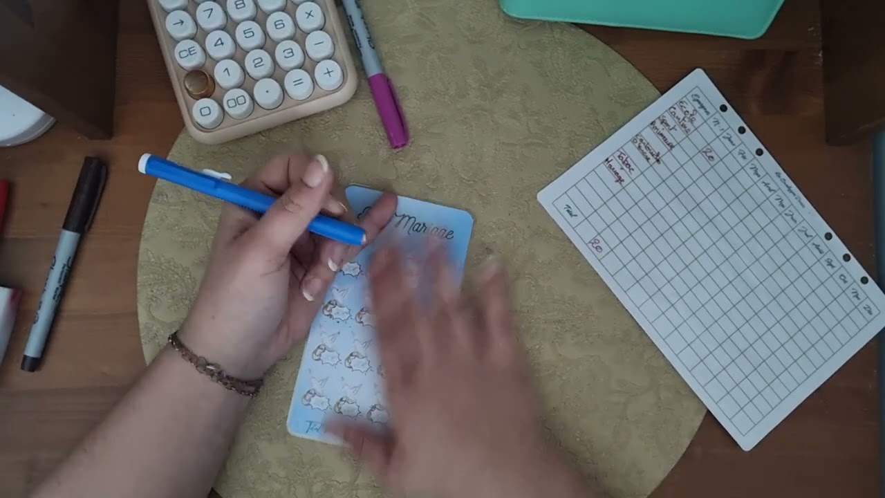 Bilan du mois de Janvier + suivis des épargnes et des défis