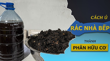 Cách ủ rác thải nhà bếp làm phân hữu cơ/ không hôi-dễ làm-cây cực tốt.