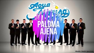 Video thumbnail of "PALOMA AJENA KARAOKE ORIGINAL AGUA MARINA"