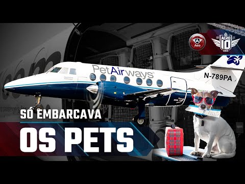 Vídeo: Principais companhias aéreas charter do Caribe