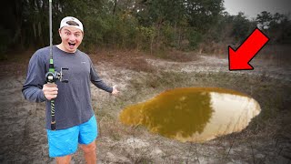 Watch Fishing HUGE SinkHole For My BIGGEST FISH (Surprising
