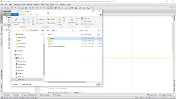 Create assets folder in Android Studio, and copy file into.
