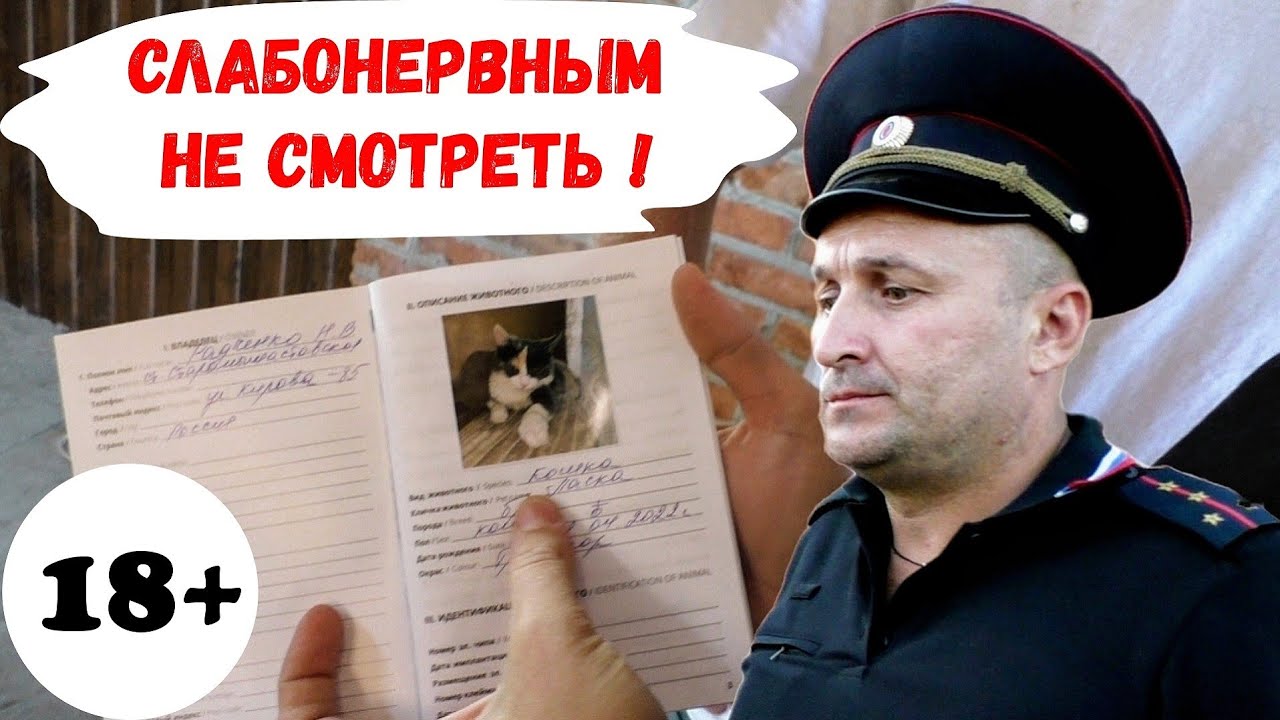 🔥Жуткое происшествие в станице Старомышастовской на Кубани ! ДПС МВД ППС Полиция