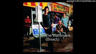 The Wallflowers - Some Flowers Bloom Dead