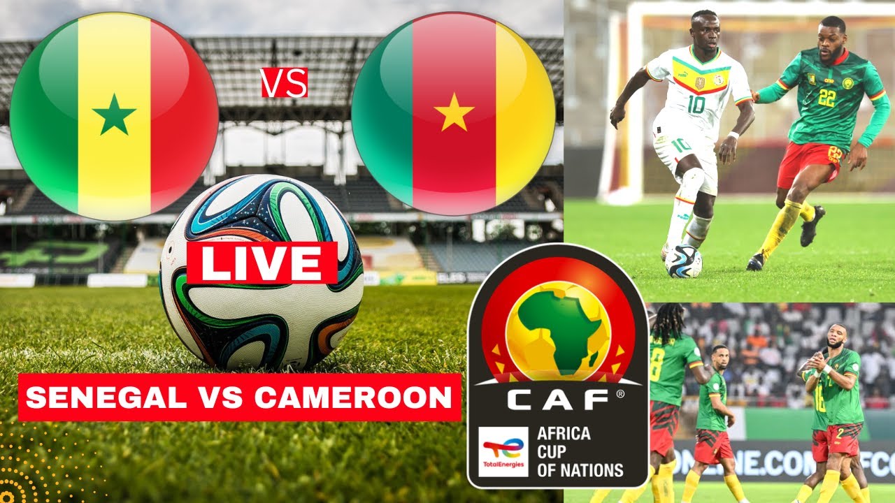 Senegal vs Cameroon Live Stream Africa Cup Nations AFCON Football Match