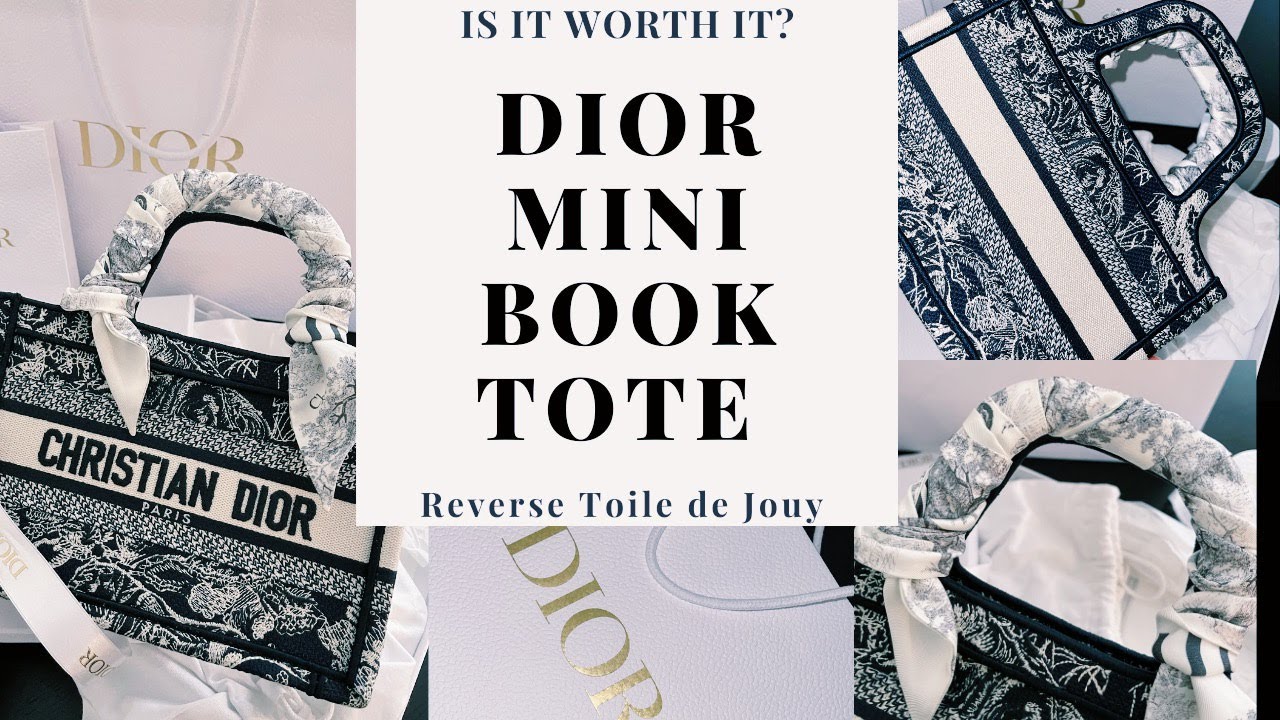 *Limited Edition* Dior Mini Book Tote 