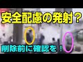 元総理の謎 全ての位置関係と距離感、そして威力がストレートに伝わる動画をジックリと見ましたか?