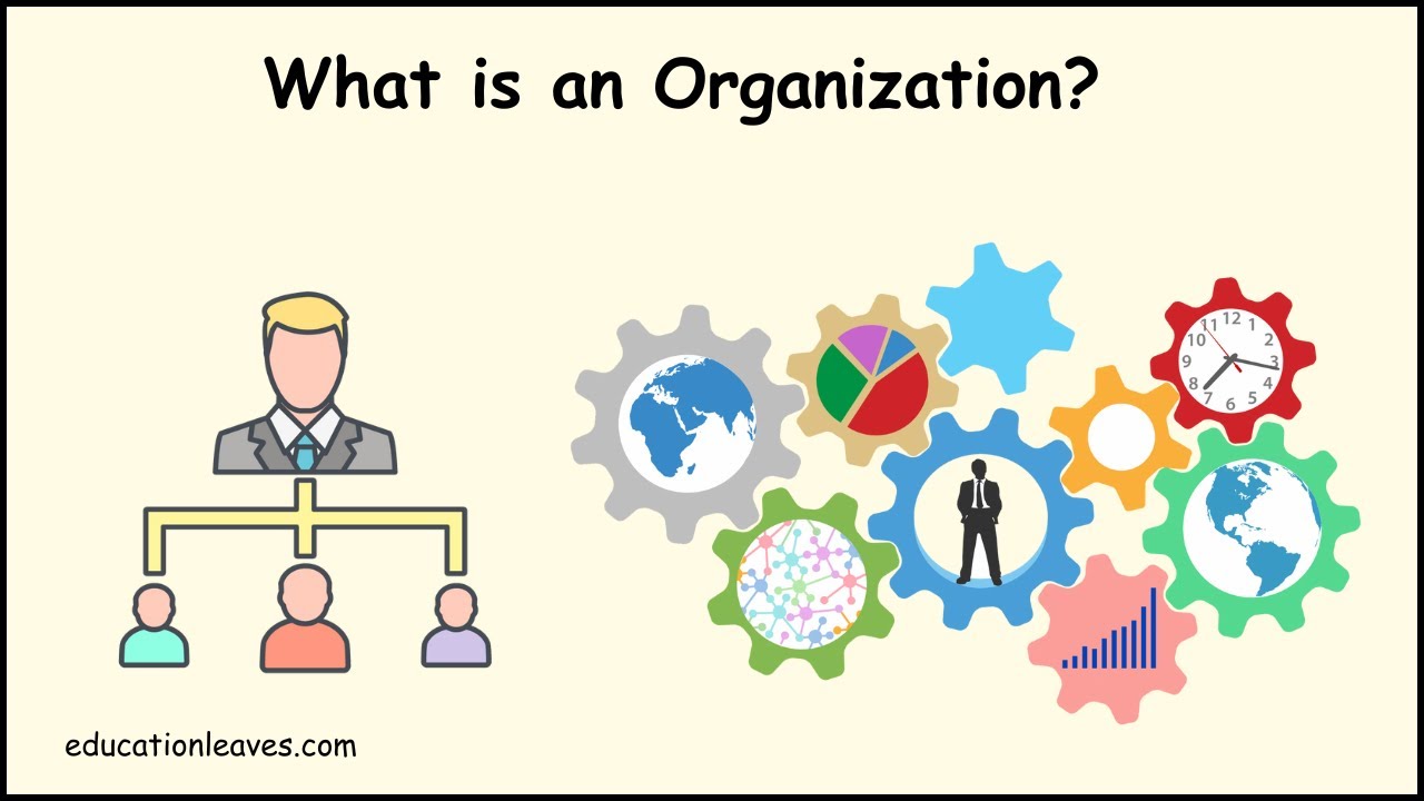 Organisation: Meaning, Steps and Importance with Questions and Videos