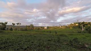 Sunset in Puerto Rico countryside, Coquí Sounds of Puerto Rico Slow TV