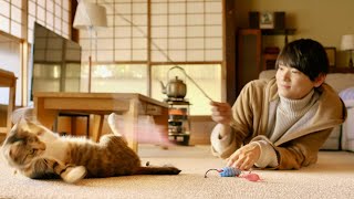 古川雄輝主演、「おいしい給食」監督が贈る「猫付きシェアハウス」映画『劇場版 ねこ物件』予告編
