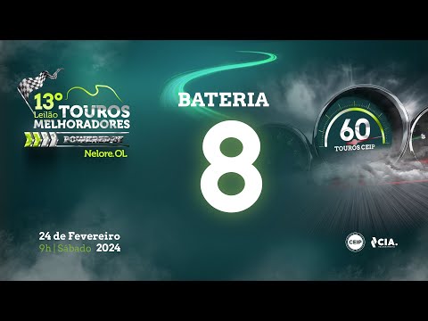 Bateria 8 - 13º Leilão de Touros Melhoradores Nelore OL - Edição Virtual