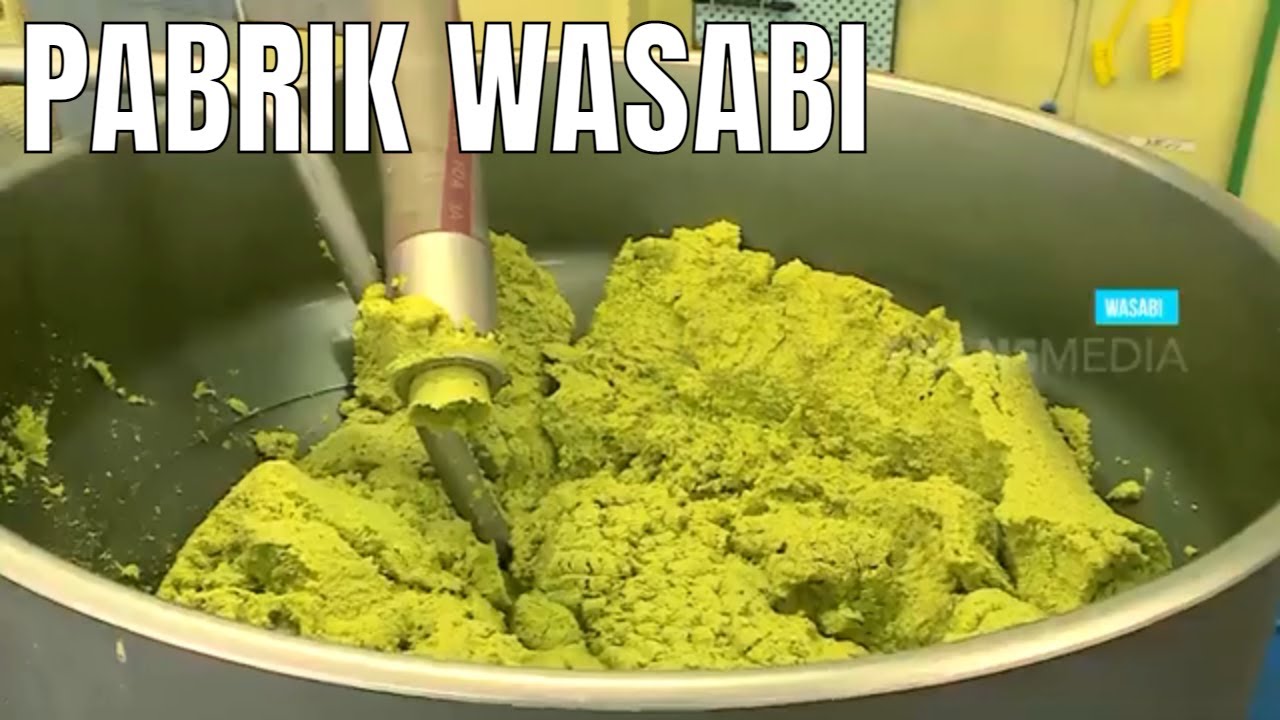 Kepoin Proses Budidaya Tanaman Wasabi | SI UNYIL (01/06/21) 