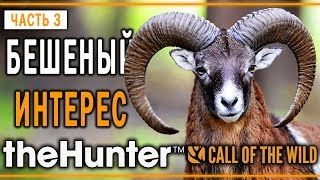 theHunter Call of the Wild #3 🐺 - Бешеный Интерес - Заказник \