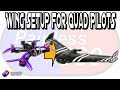 Easy Flying Wing Setup for Quad Pilots