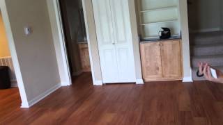 Empty Game Room Echo!
