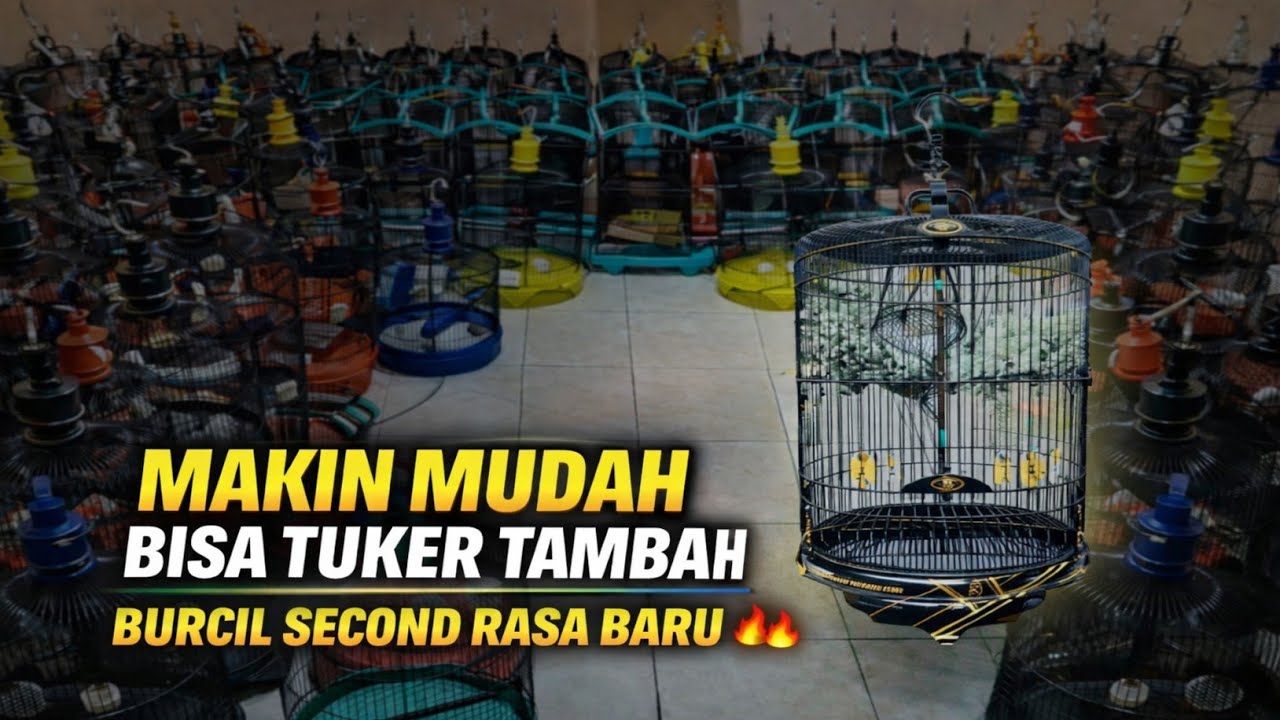 HARGA ANEKA SANGKAR BURCIL SECOND RASA BARU ACCESORIES SANGKAR EBOD TERBARU 2026 DI BEKASI