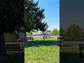 PLANE HIT A TREE #vlogs