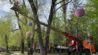 Пилим на высоте в труднодоступном месте г.Белгород