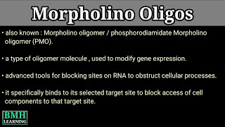 Morpholino Oligos | What Are Morpholinos |