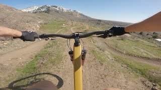 The Knob & Ogden Bike Park