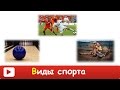 [ ВИДЫ СПОРТА для ДЕТЕЙ ] Развивающий мультфильм про спорт ИЗУЧАЕМ СПОРТ  и его ПРАВИЛА В HD