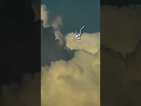 Allah🤲🫀 Allah Akbar ❤️ Allah Akbar ❤️❤️
