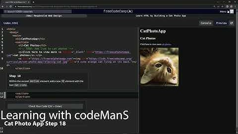 Learn HTML by Building a Cat Photo App - Step 18