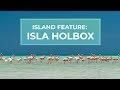 Isla Holbox: A natural island paradise just outside Cancun | Cancun.com