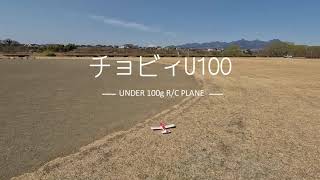 ムサシノ 軽量小型電動スポーツプレーン チョビィU100 CHOBBY under